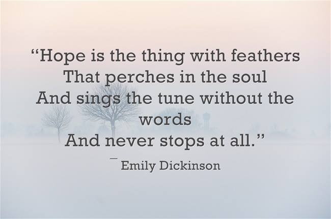 Shequotes Emily Dickinson S Hope Flies Shequotes Shequote Hope Song Birds Flying